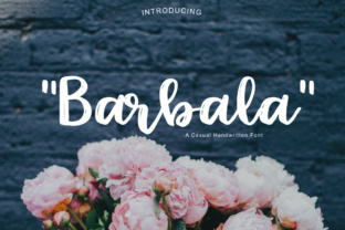 Barbala: The Font That Elevates Your Brand
