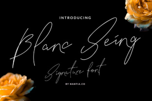 Blanc Seing: A Handwritten Font for Modern Branding