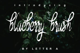 Blueberry Brush: A Script Handwritten Font That Earns Its Place in Real Campaigns