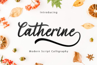 Catherine Script: A Versatile Font for Web Design