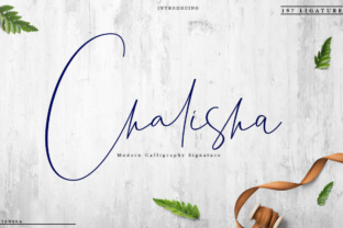 Chalisha: A Script Font That Elevates Campaign Design