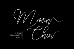 Exploring Moon Chin: A Script Font with a Warm, Feminine Vibe
