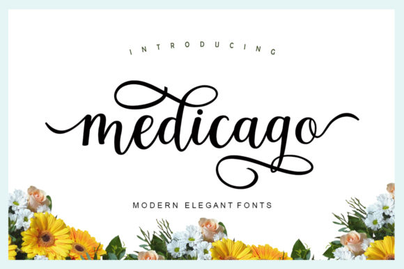 Medicago: The Font That Elevates Your Brand
