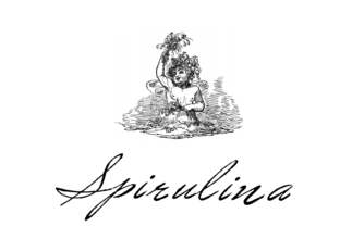 Spirulina: A Script Font for Timeless Editorial Design